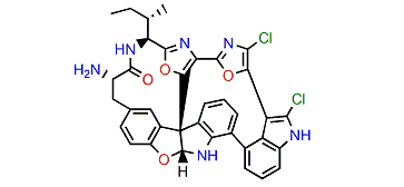 Diazonamide E